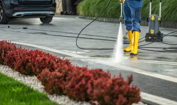 Best Roof Pressure Washing  in South Gate, CA