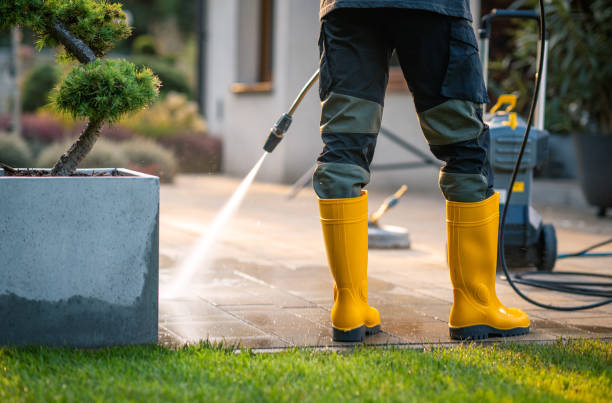 Best Power Washing Near Me  in South Gate, CA